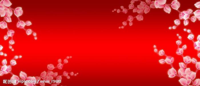 国立罗蒙诺索夫大学经济学文凭证书